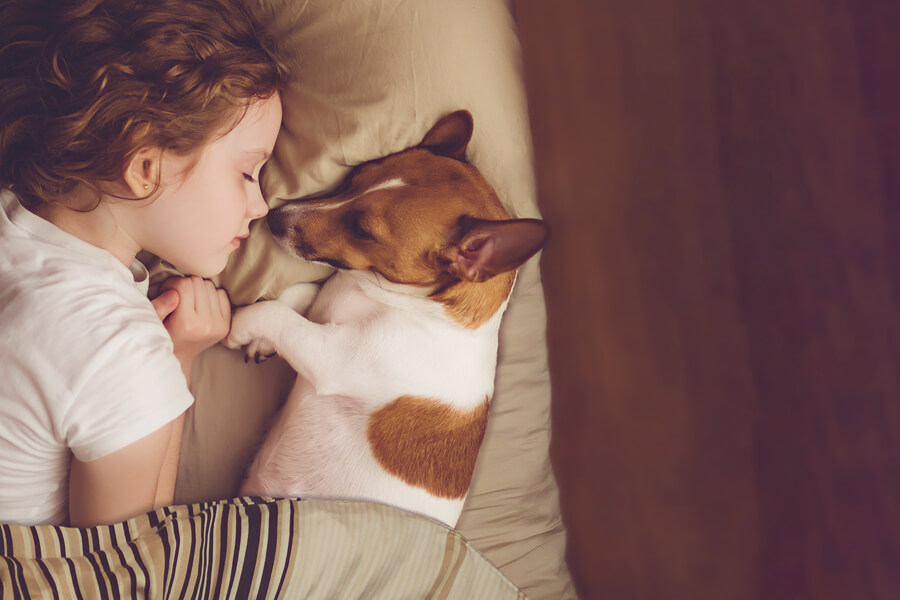 犬が寝る位置で分かる飼い主さんとの信頼度！足元で寝る理由とは？