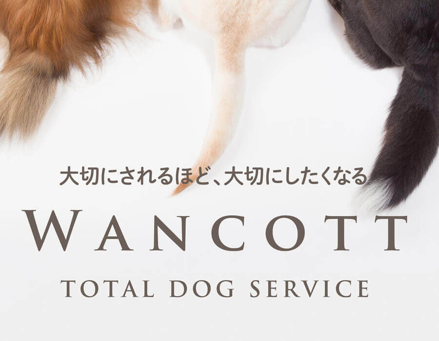 WANCOTT画像１