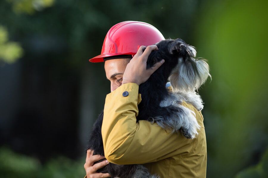 愛犬との避難に備えよう【災害への備えと心構え】