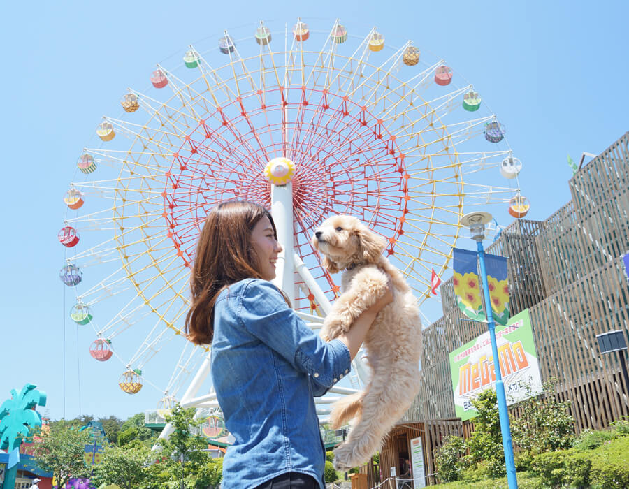 那須ハイランドパーク画像１