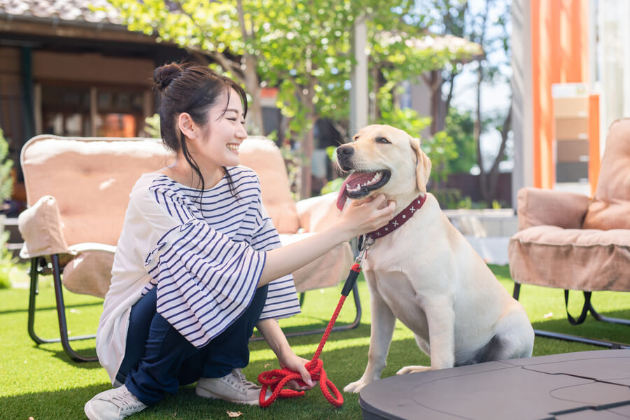 犬と人の歴史｜進化のきっかけと人間との関係性について